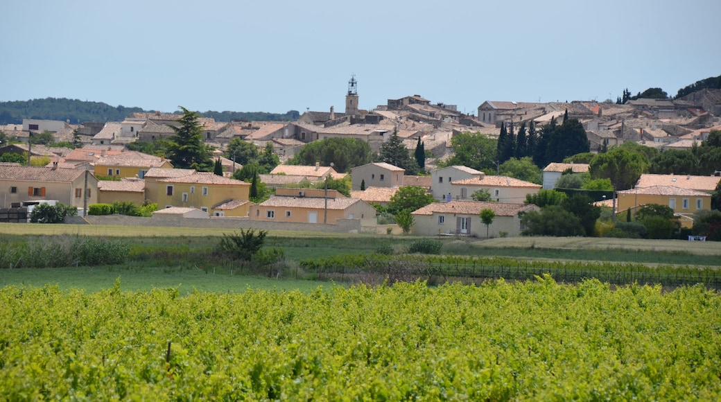 The lovely village Calvisson inmidst the vineyards