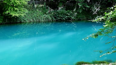 Un lac d’un bleu turquoise éclatant, entouré d’une végétation luxuriante.
