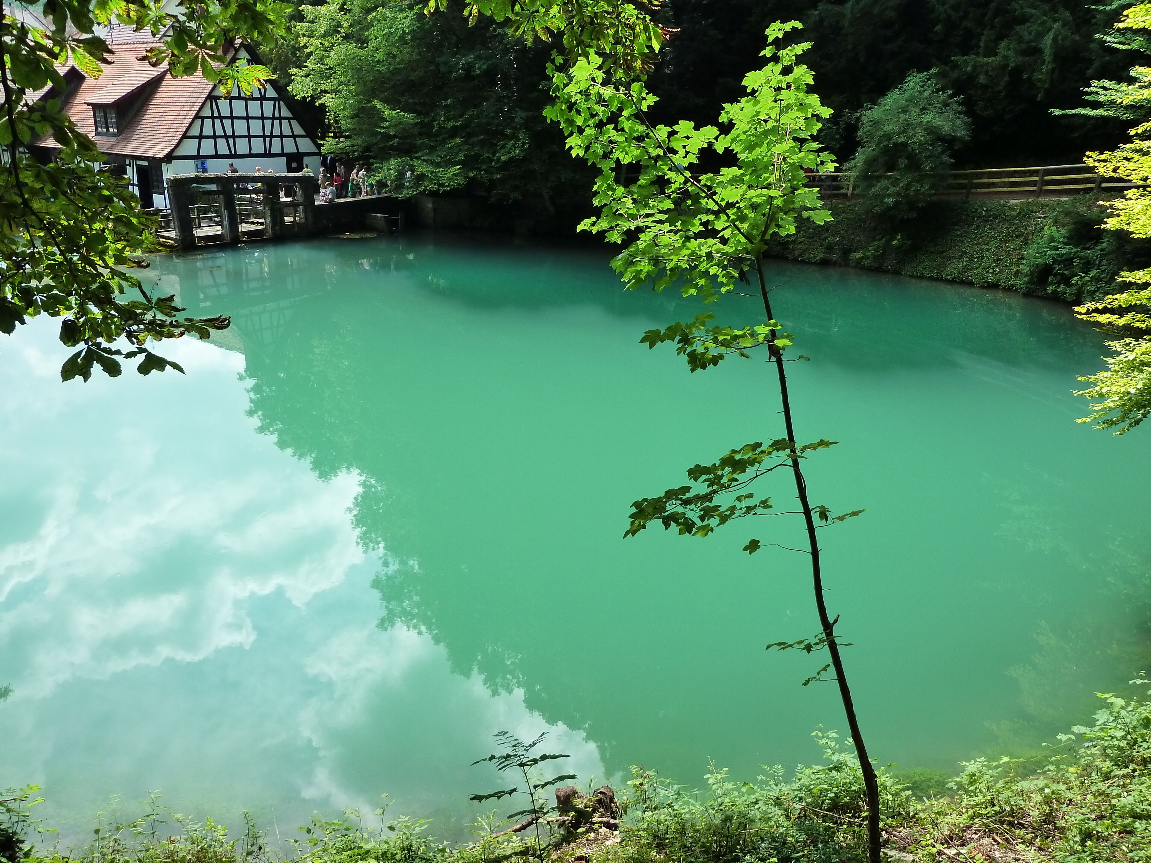 A serene lake with a gazebo and a house in the background.