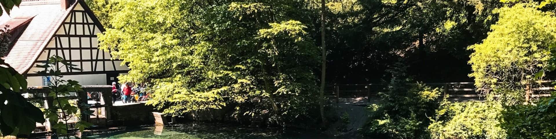 Water clear as crystal and blue like the sky #water #blautopf #ulm #beautiful #nice #lake #sea #blue #sky #germany #deutschland