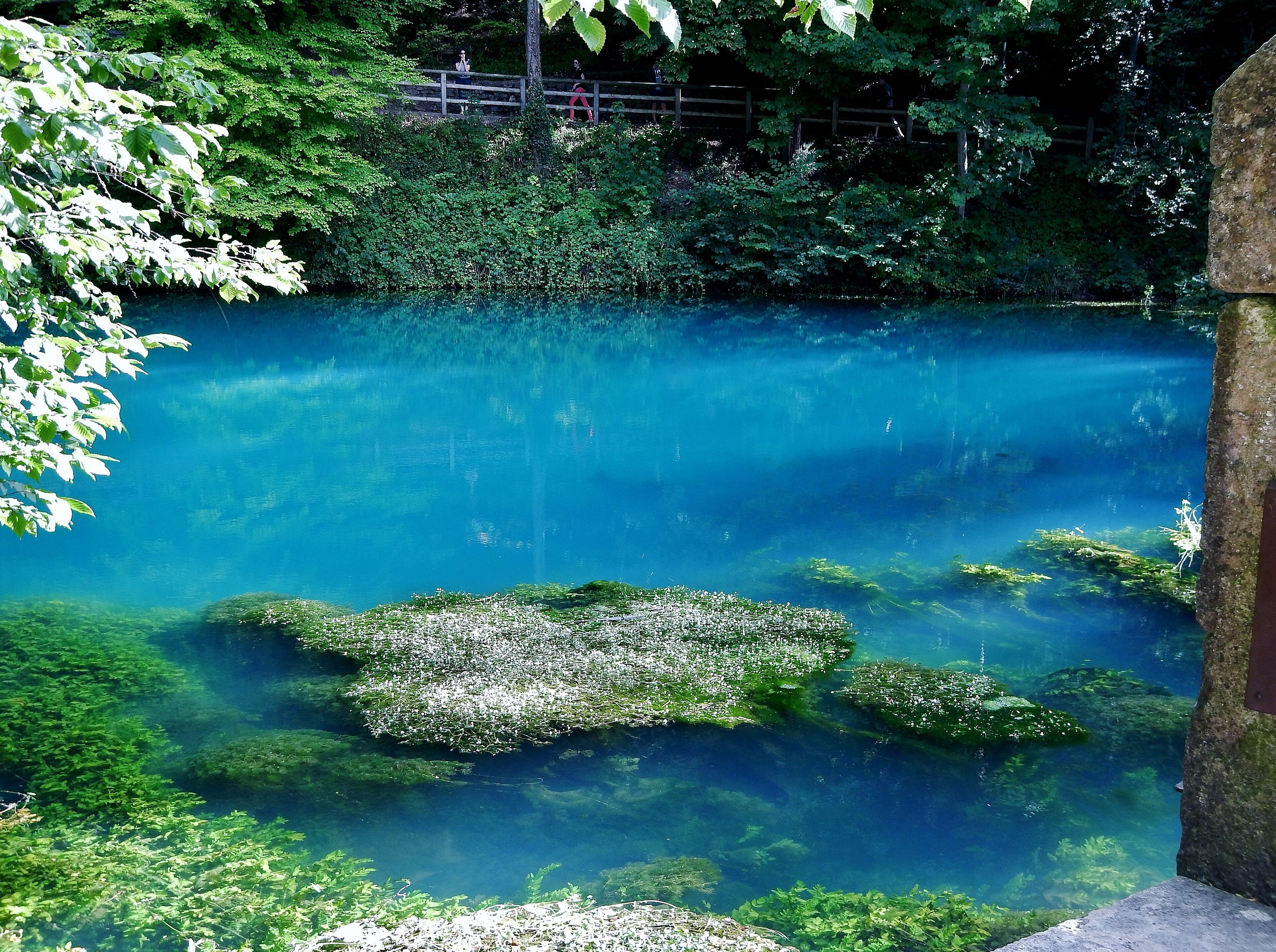Blautopf