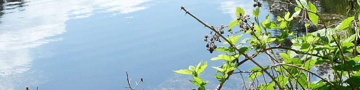Ungeheuersee ohne Ungeheuer