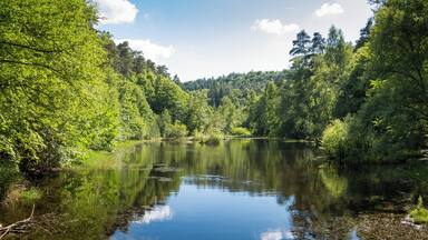 Der Ungeheuersee im Leininger Sporn, einem Teil des nordöstlichen Pfälzerwalds (Rheinland-Pfalz), ist ein flacher Hochmoorteich, der durch den Krumbach gespeist wird. Als Teil des einzigen Hochmoores in diesem Mittelgebirge steht der See seit den 1930er Jahren als Naturdenkmal unter Schutz. Der See ist von Mischwald umschlossen und zeichnet sich durch eine artenreiche Flora am Ufer und auf schwimmenden Inseln aus; beispielsweise werden Wollgräser, verschiedene Orchideenarten und der Rundblättrige Sonnentau, eine fleischfressende Pflanze, angetroffen.