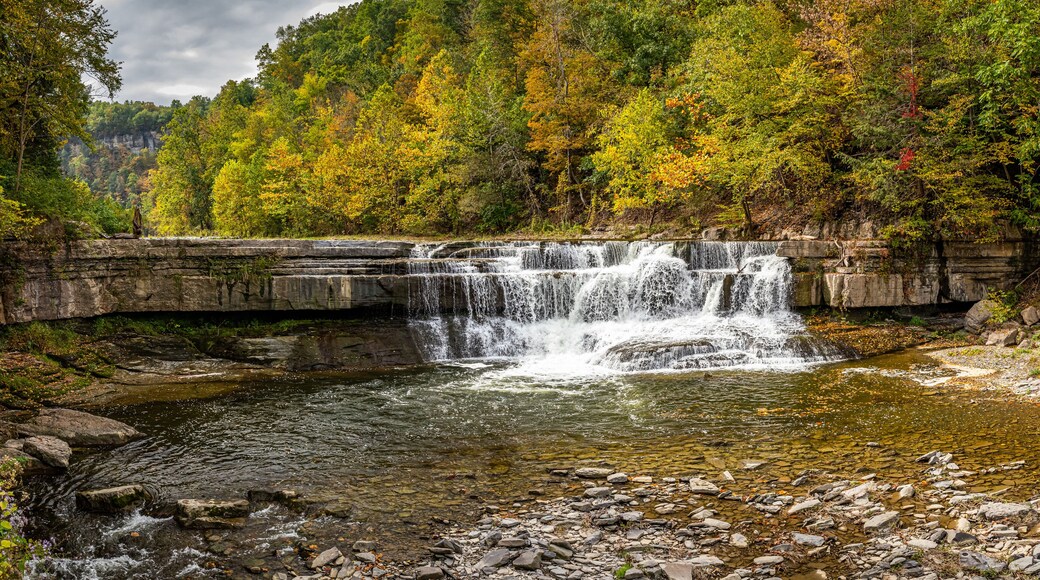 Taughannock Creek Tompkins County New York