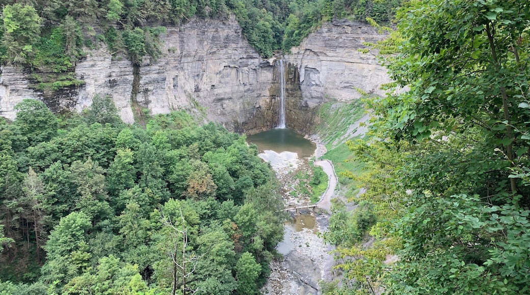 Short drive from the cute little town of Trumansburg where we stayed. Easy access + many trails to explore.