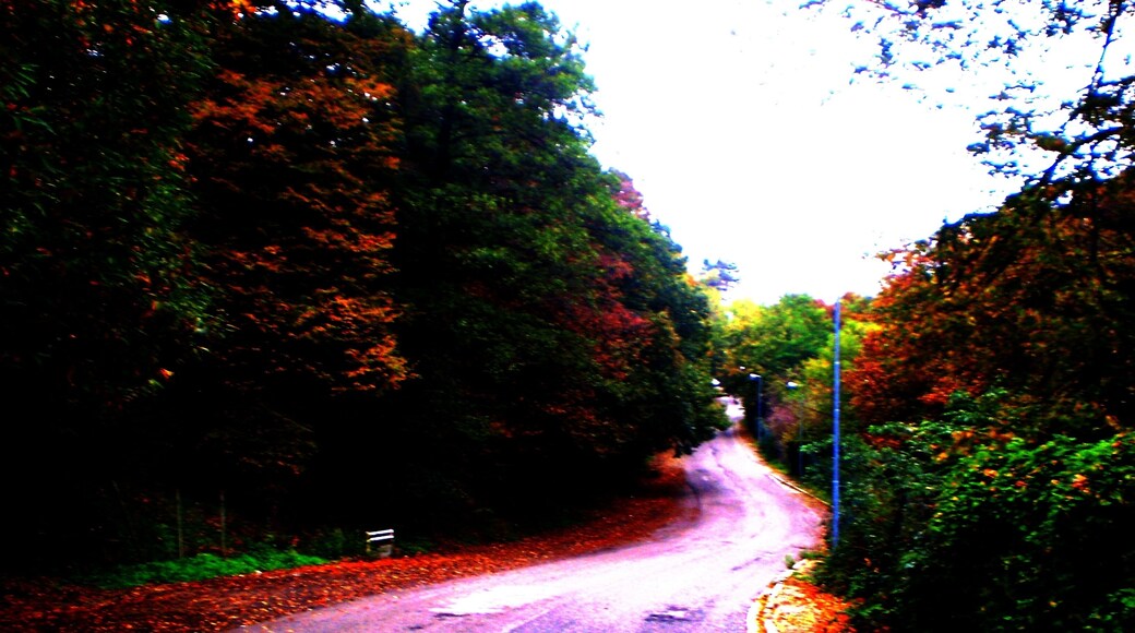 Autunno sulla Collina Torinese