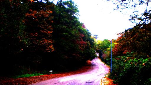 Autunno sulla Collina Torinese