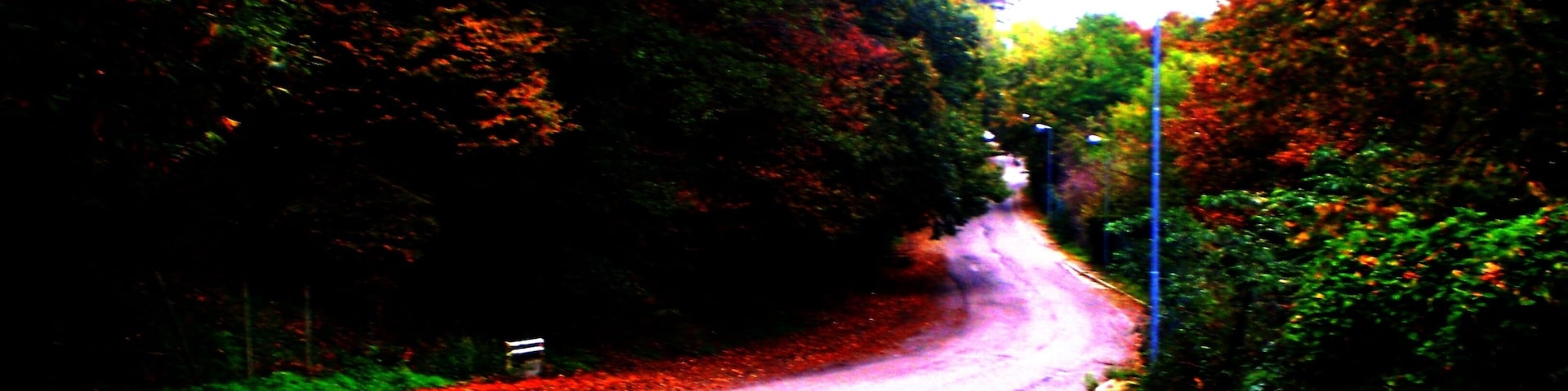 Autunno sulla Collina Torinese