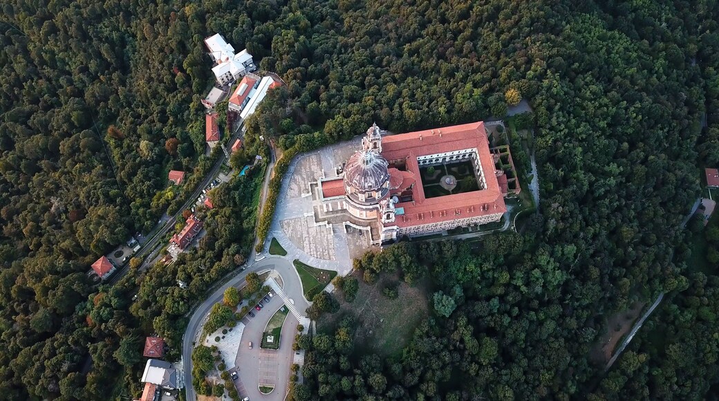 بيسيتو تورينسي