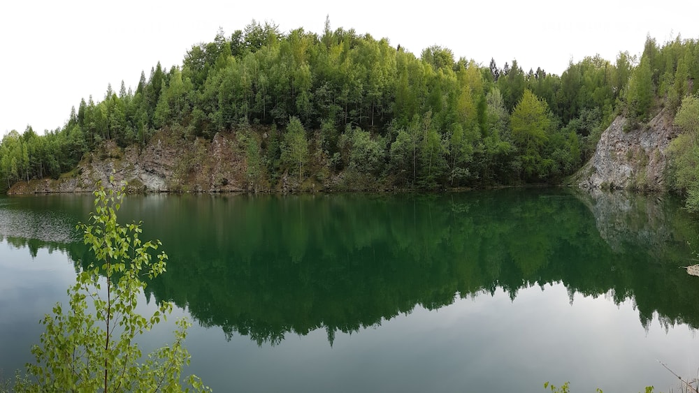 A calm lake surrounded by dense forest and rocky cliffs.