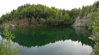 Auf dem Bild zu sehen, der Ausblick von einer Lichtung am Ufer über den Karthagensee in Stadtoldendorf; Bereich im EU-Vogelschutzgebiet DE-4022-431 „Sollingvorland“.