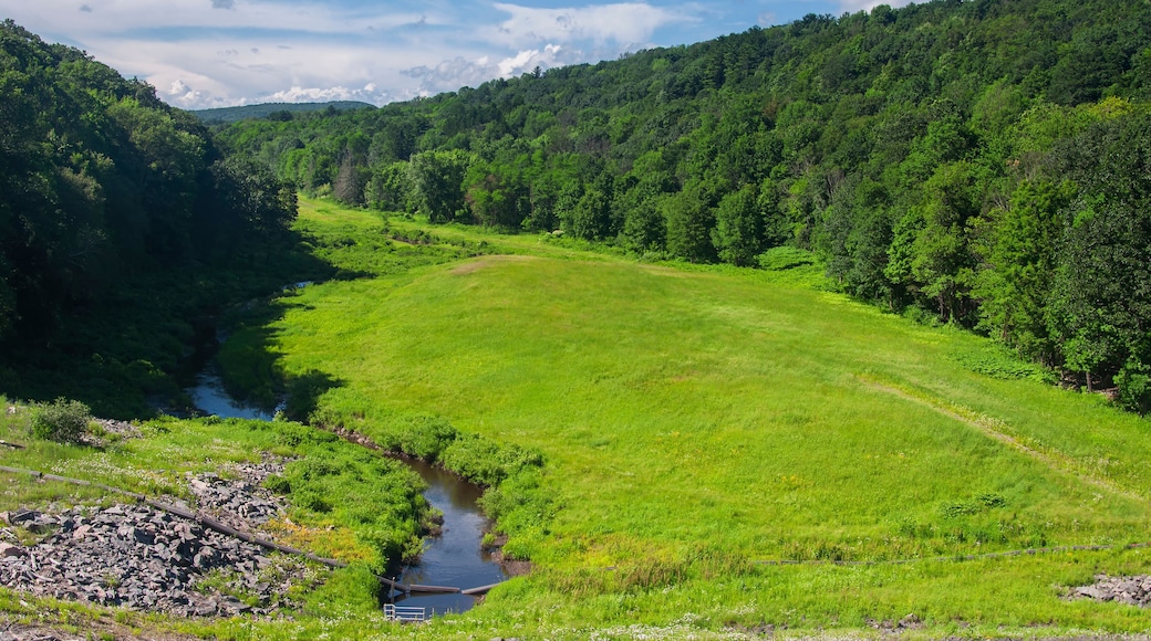 east branch naugatuck river dam and flood control landscape
