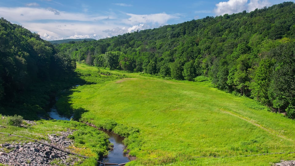 A lush green valley with a small stream, surrounded by dense forest and hills.