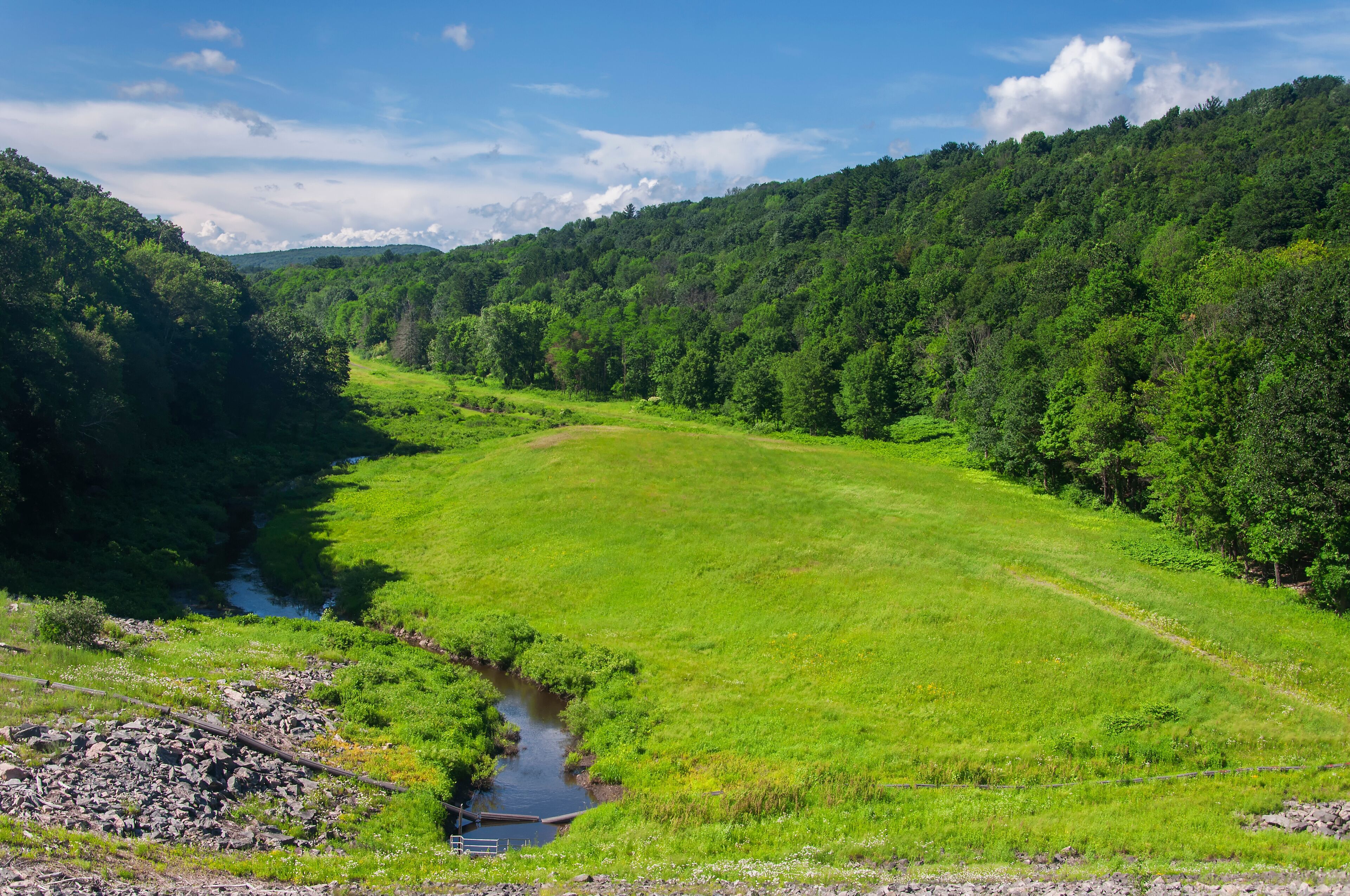 A lush green valley with a small stream, surrounded by dense forest and hills.