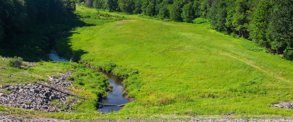 A lush green valley with a small stream, surrounded by dense forest and hills.