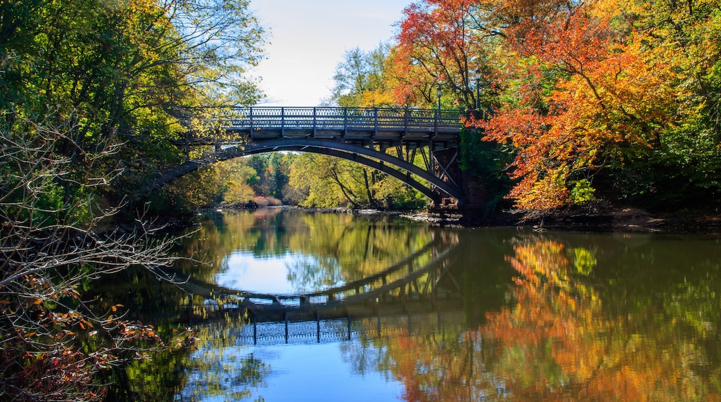 Naugatuck
