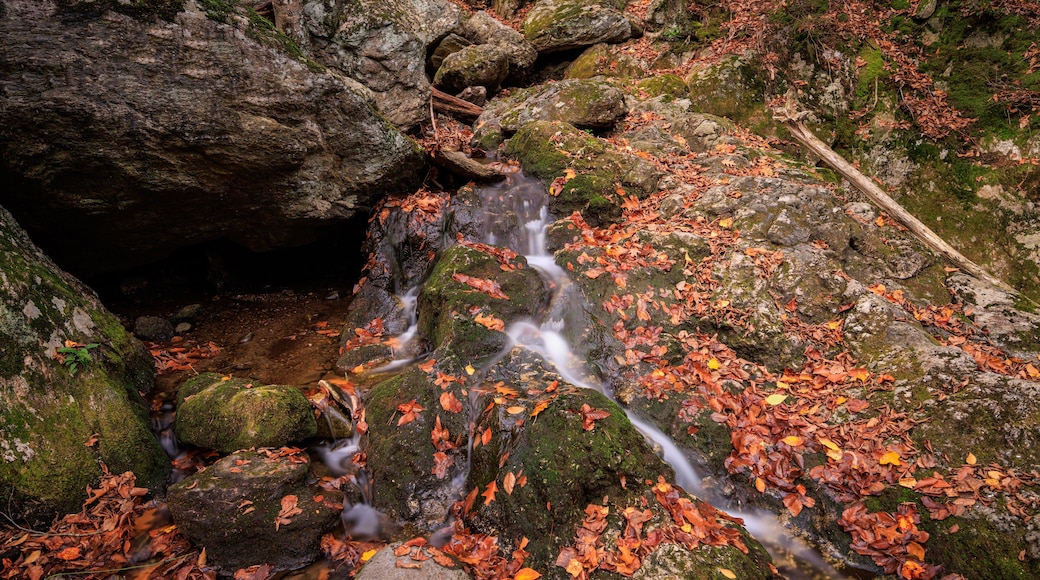 waterfall in autumn