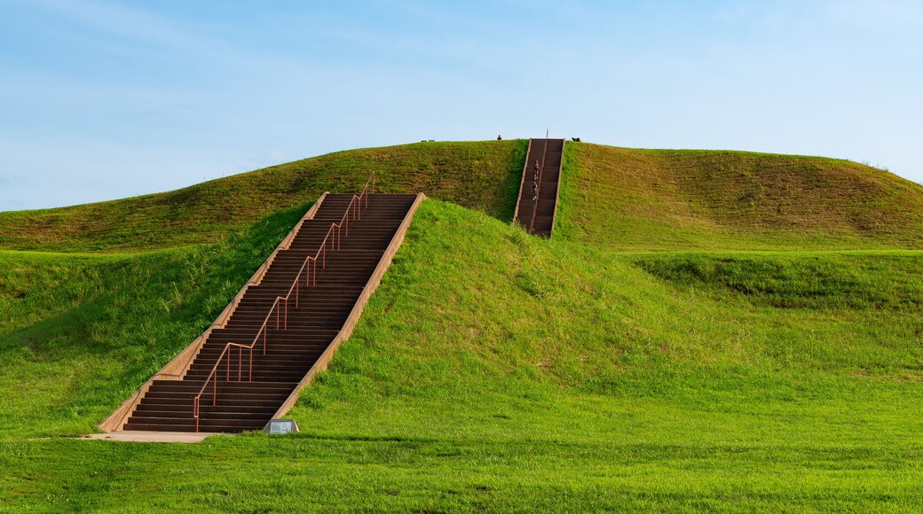 Cahokia Mounds State Historic Site