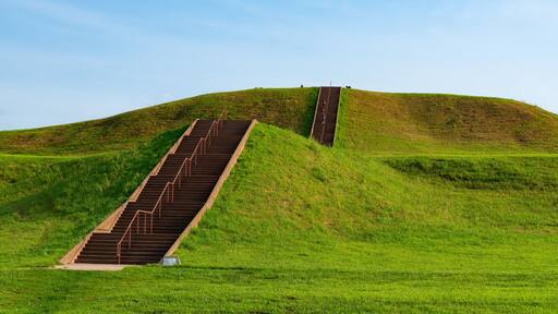 Cahokia Mounds State Historic Site