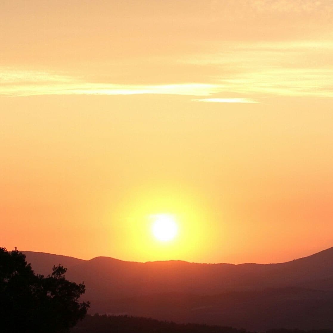 Mount Ida
Balıkesir- Turkey 
#lifeatexpedia #beachbound 