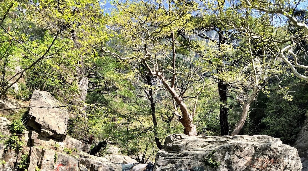 "Hasanboguldu waterfall; Kaz mountains ; Edremit