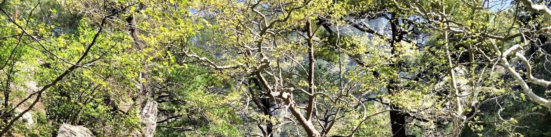 "Hasanboguldu waterfall; Kaz mountains ; Edremit
