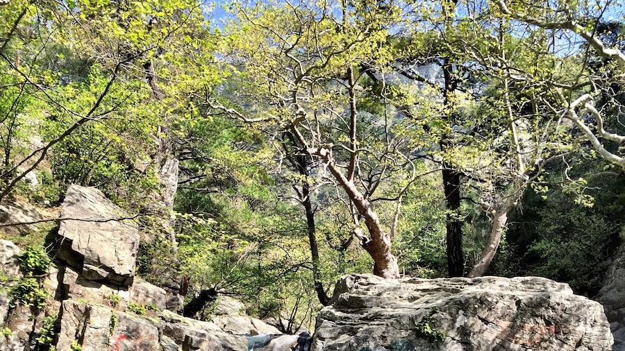 "Hasanboguldu waterfall; Kaz mountains ; Edremit