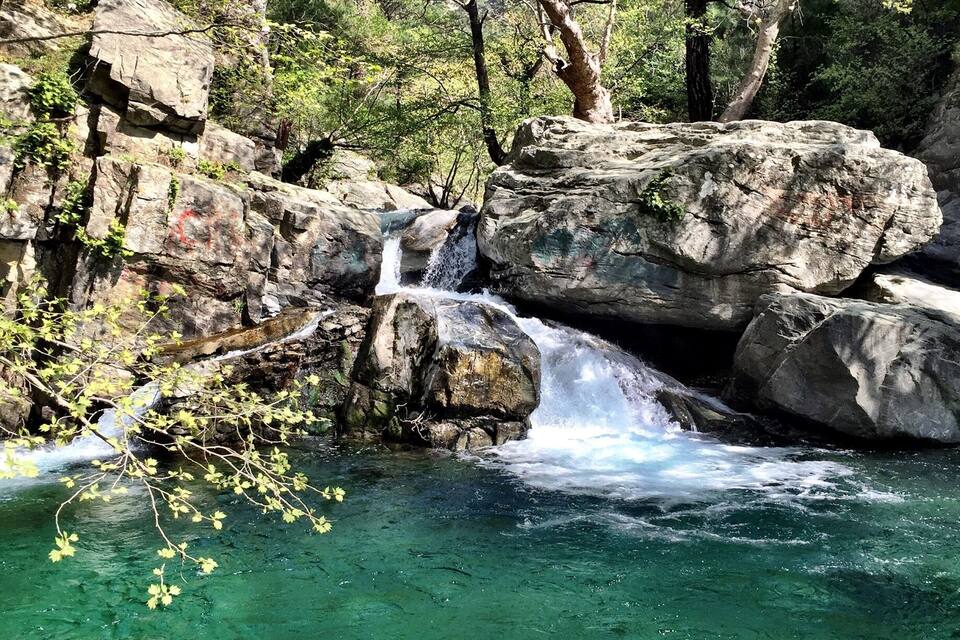 A clear stream flowing over rocks with a waterfall, surrounded by trees.