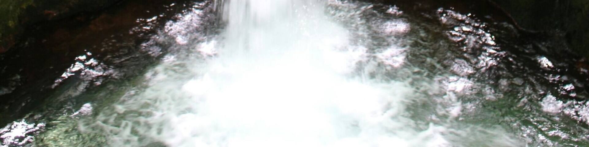 Una cascada fluye sobre rocas cubiertas de musgo en una zona boscosa.