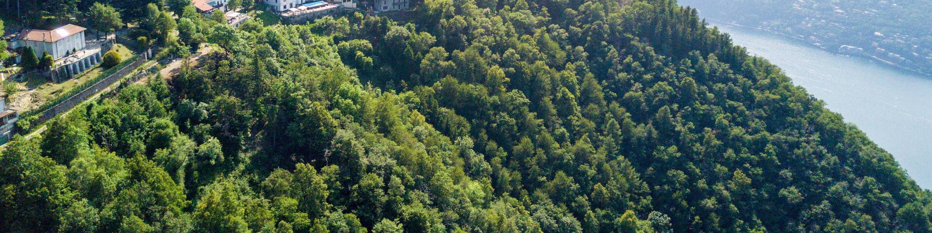 A mountainous landscape with a dense forest, a prominent tower, and several buildings on a hill.