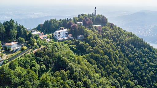 Brunate