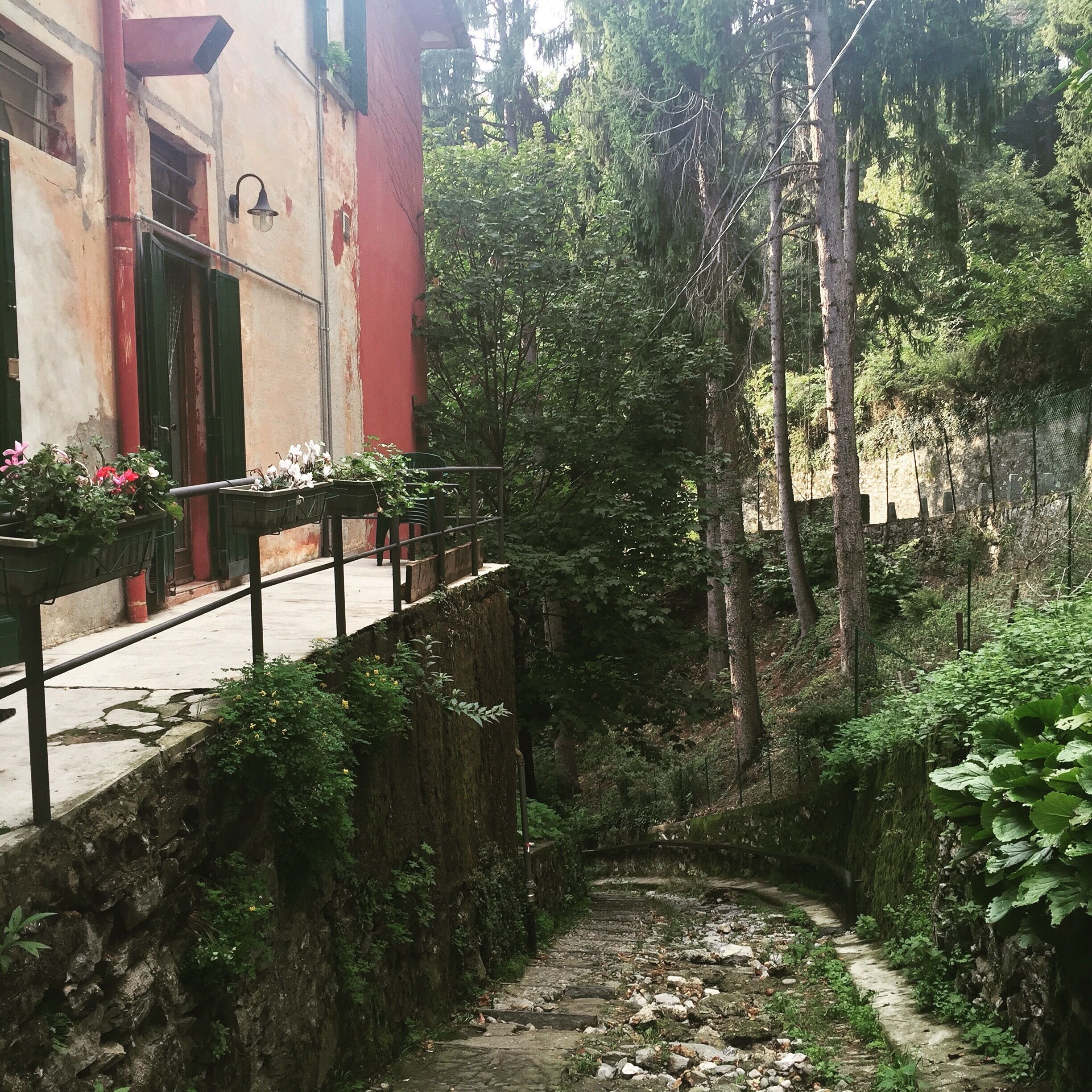 Simply perfect day for a walk in Italy 