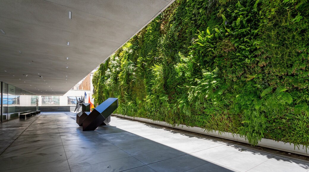 San Francisco Museum of Modern Art featuring outdoor art