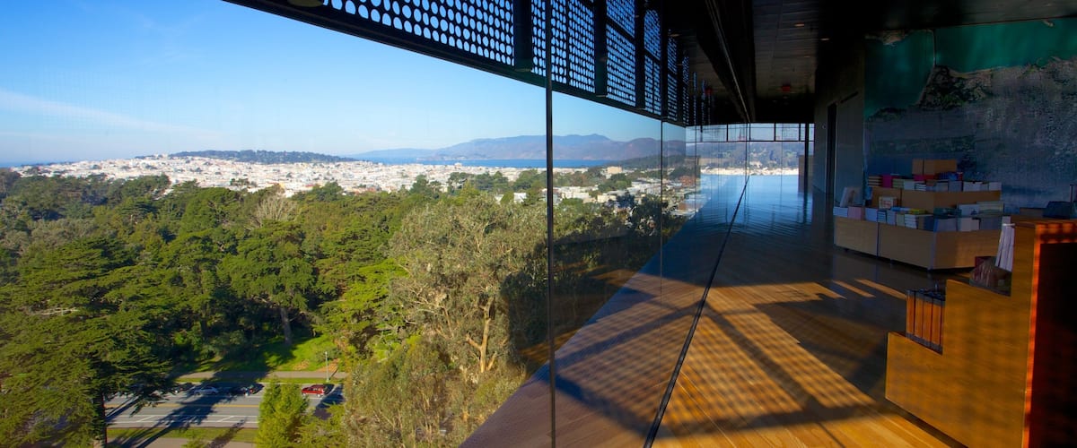 Museo De Young ofreciendo vistas interiores