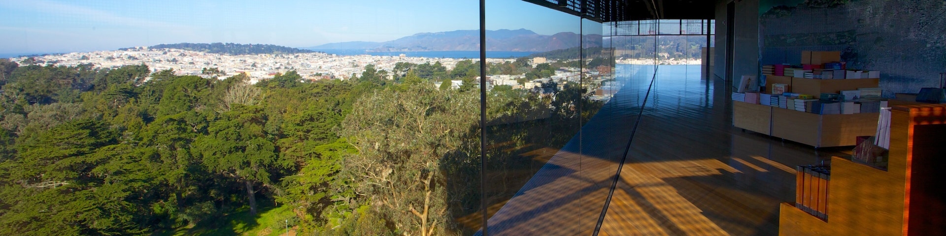 De Young Museum que inclui vistas internas