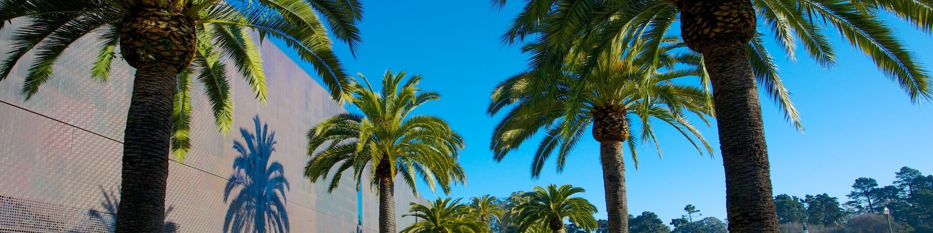 De Young Museum mit einem Landschaften und Garten