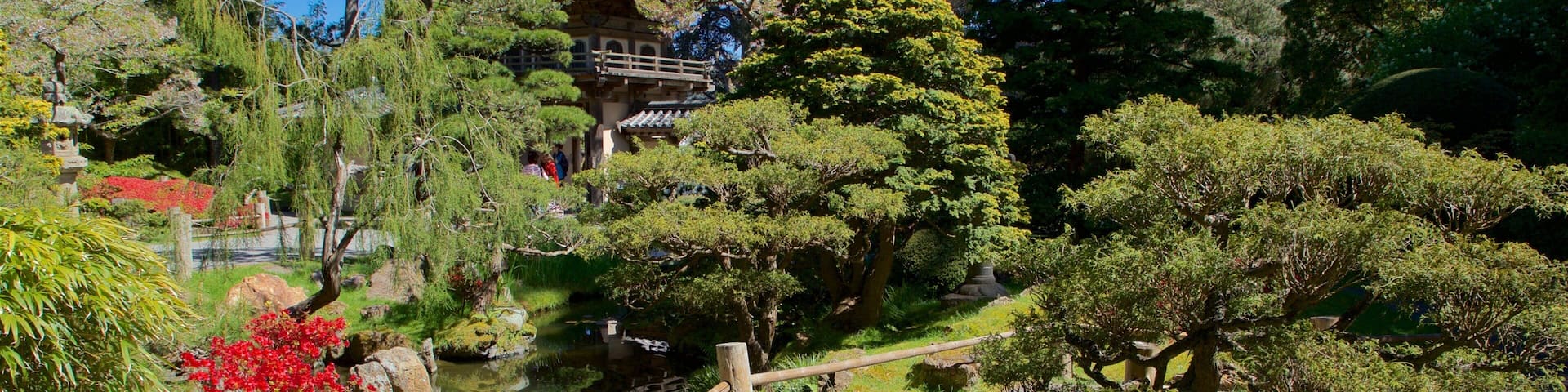 Japanese Tea Garden showing a garden