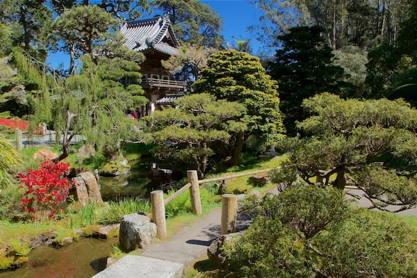 Ein traditioneller japanischer Garten mit einem Pagode, einem Teich für Koi-Karpfen und verschiedenen Bäumen.