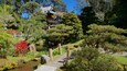 En traditionel japansk have med en pagode, en dam med koikarper og forskellige træer.