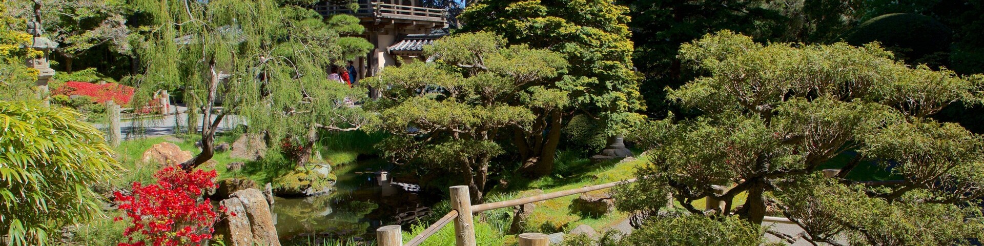Japanese Tea Garden showing a garden