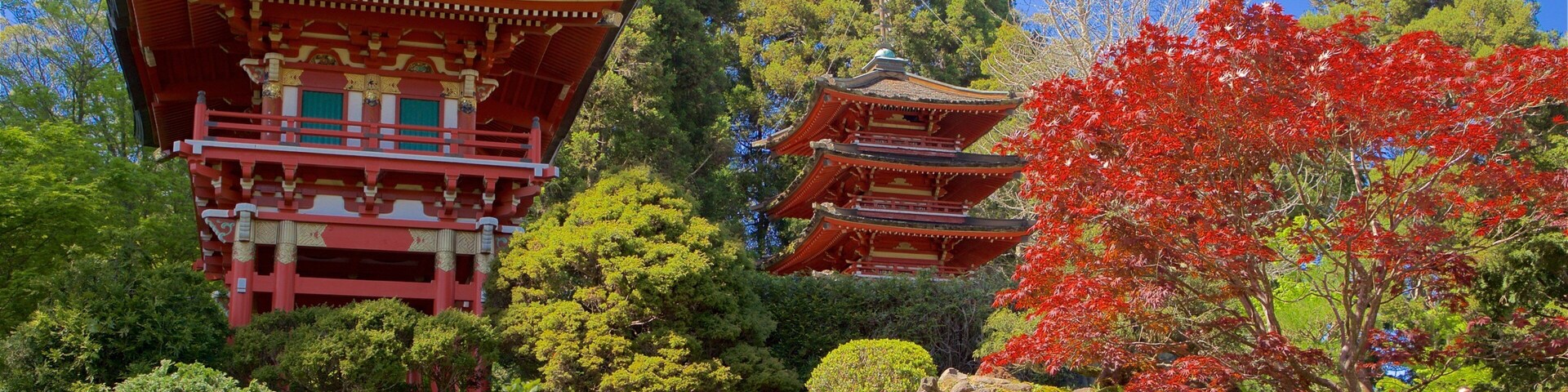 Japanese Tea Garden mostrando um jardim e arquitetura de patrimônio