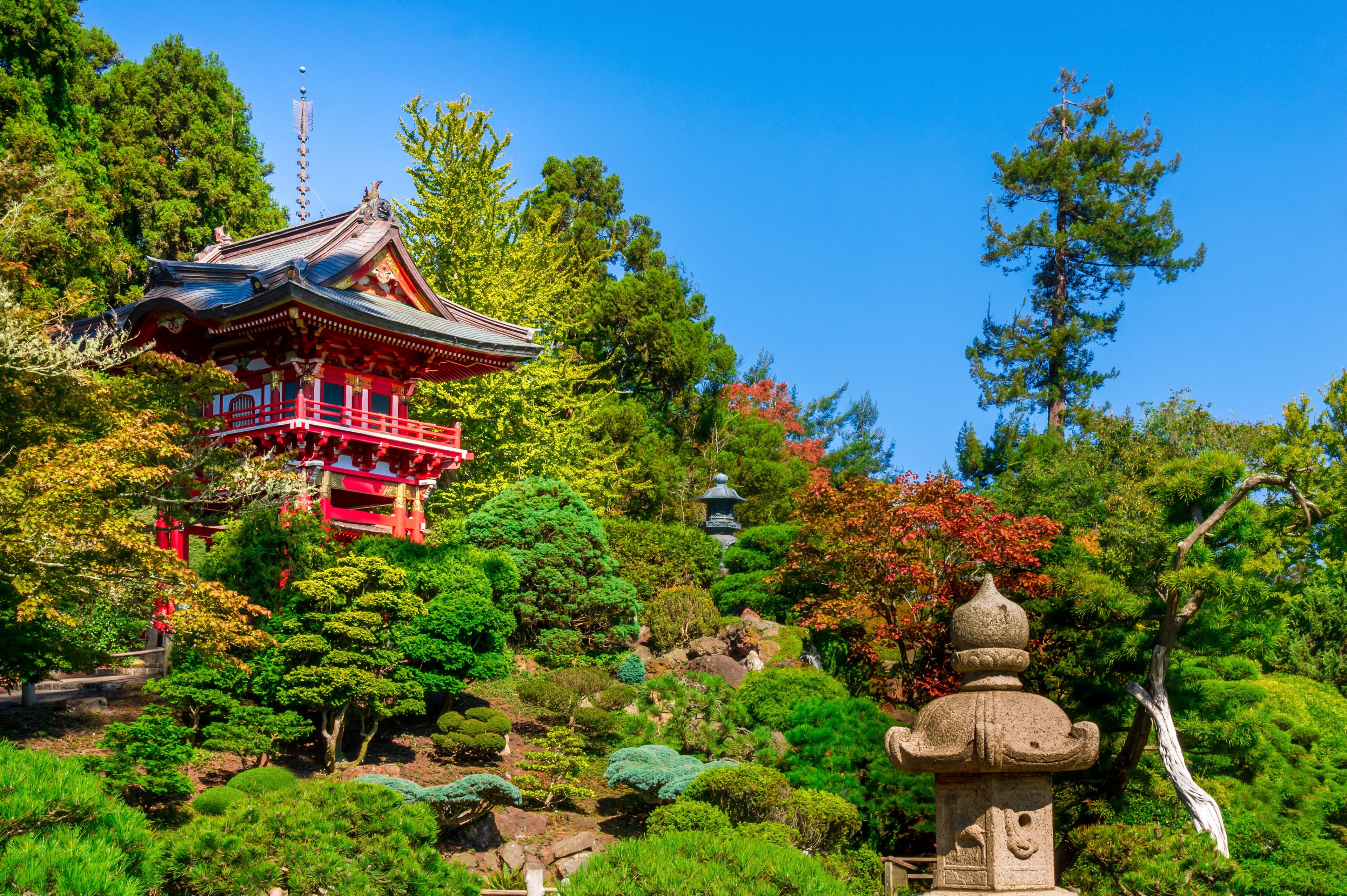 Pagode between beatiful and colorful plants in the Japanese Tea Garden in the Golden Gate Park in San Francisco