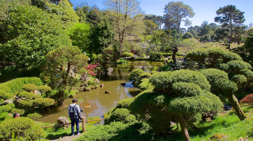 Japanese Tea Garden showing a pond, heritage architecture and a garden