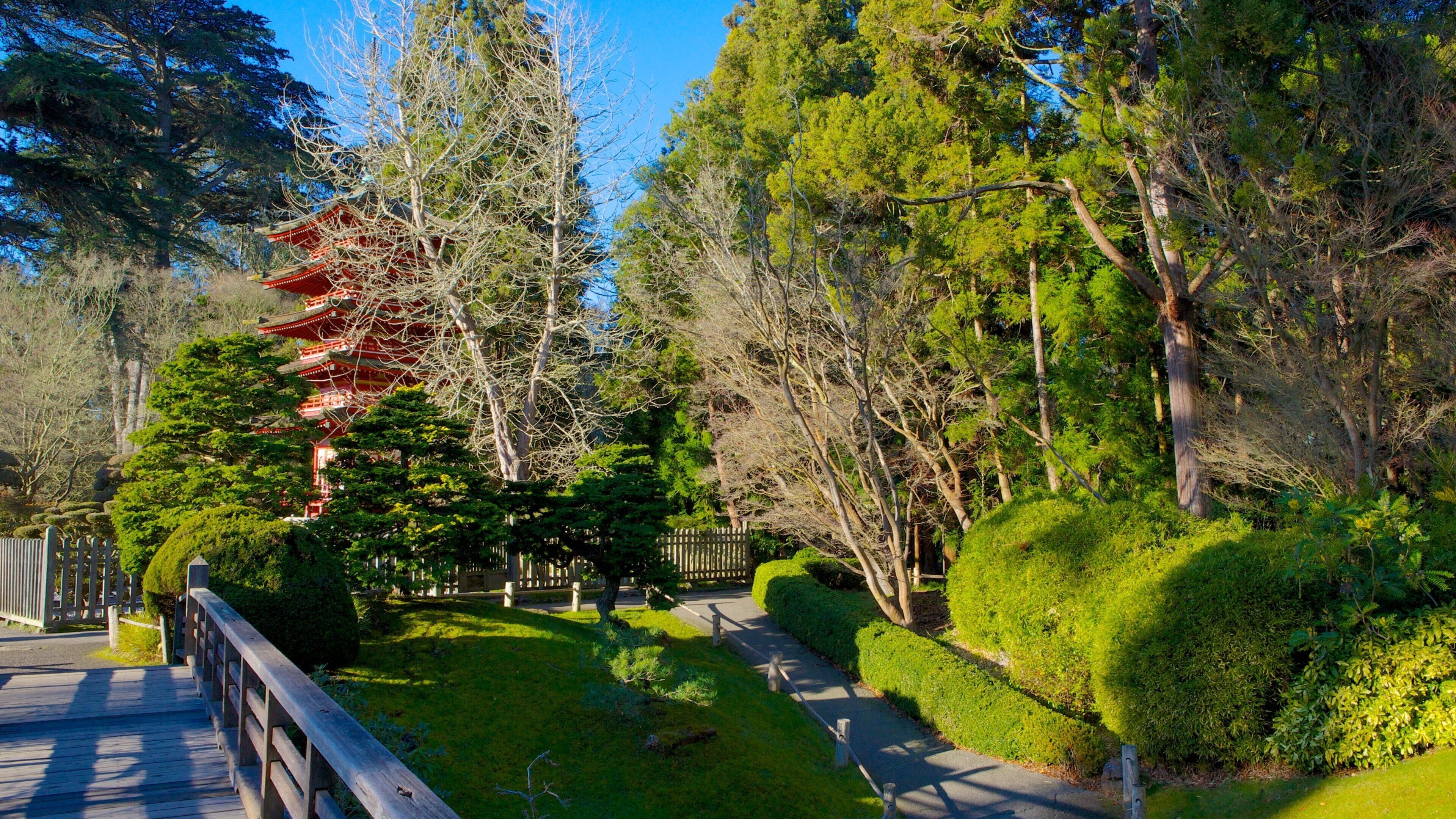 Den japanske tehave som viser udsigt over landskaber og en park
