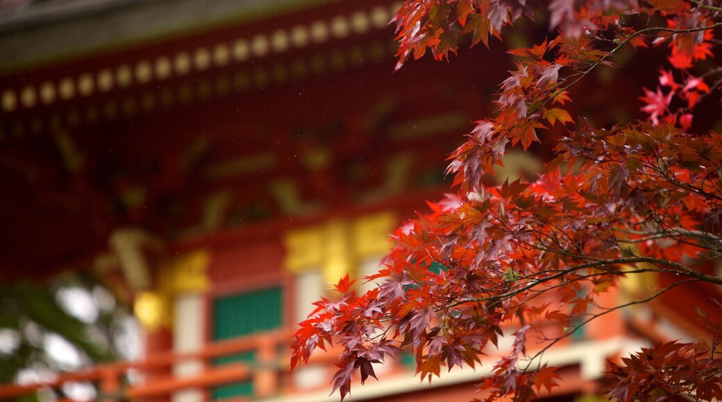 Den japanske tehagen som inkluderer hage og høstfarger