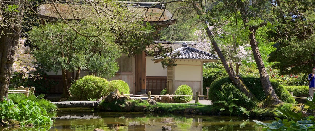 日本茶道庭園 呈现出 池塘 和 花園