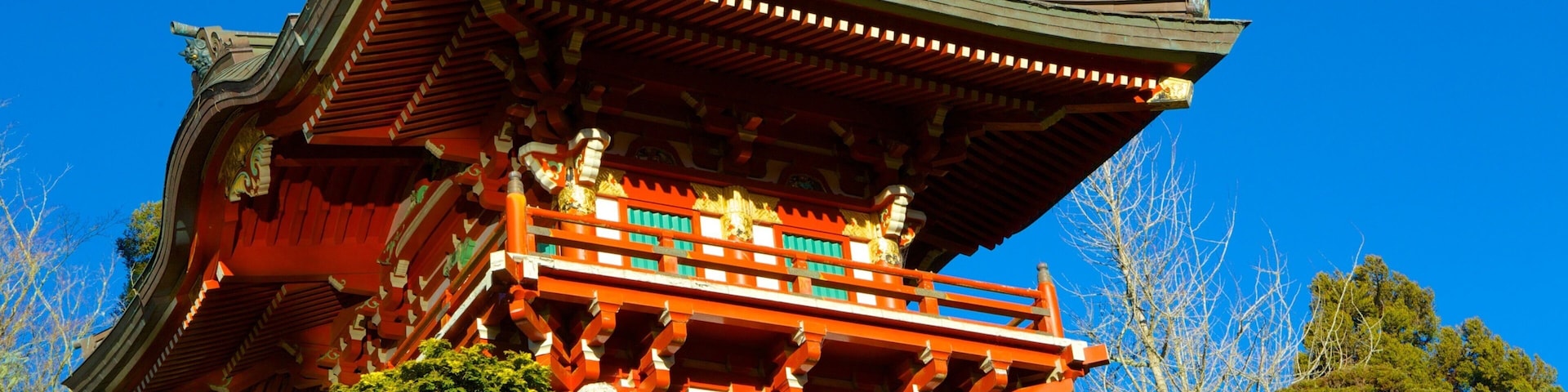 Explore the beauty of Japanese Tea Garden featuring traditional architecture in San Francisco