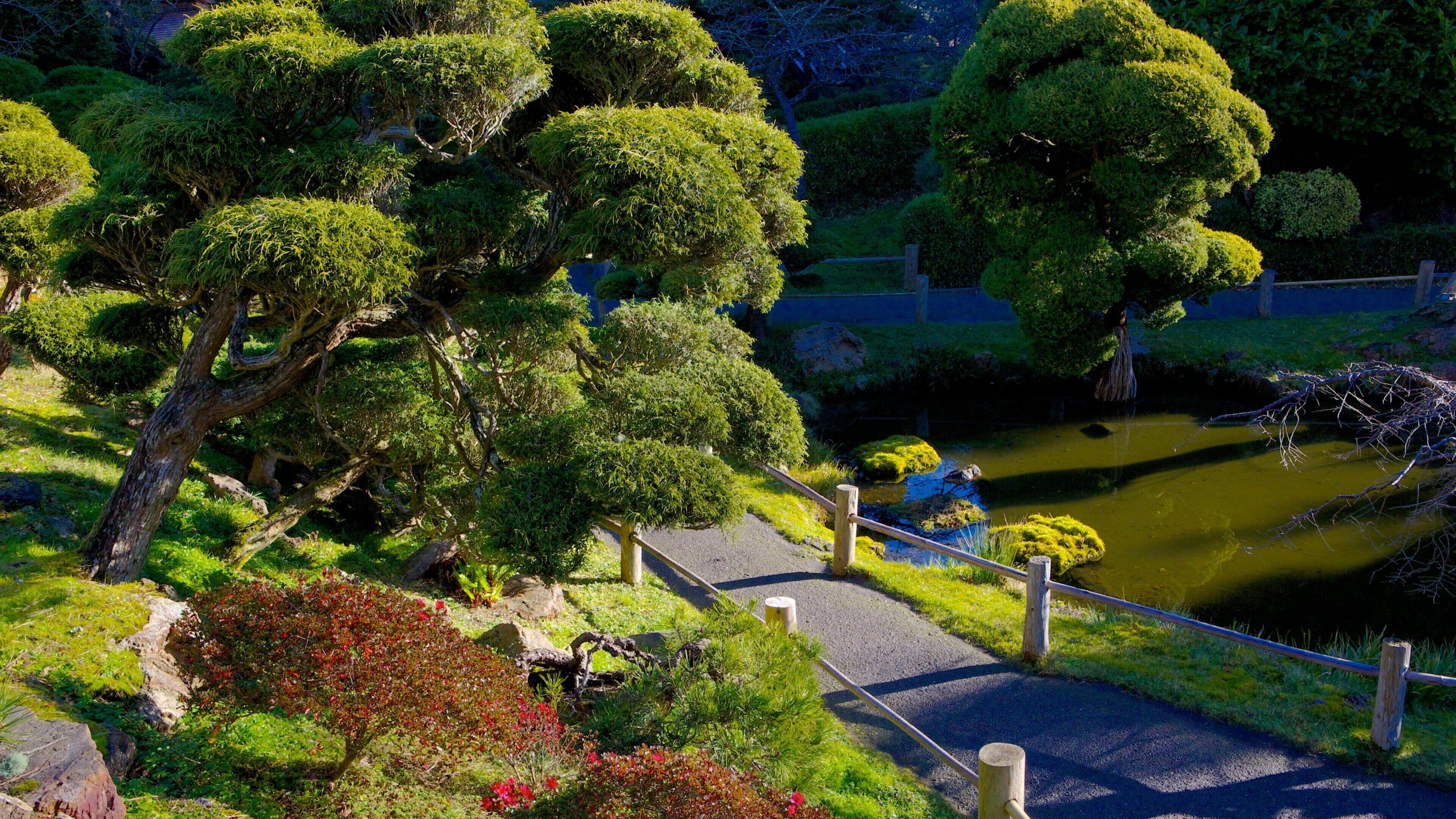 Den japanske tehave som omfatter en have og udsigt over landskaber