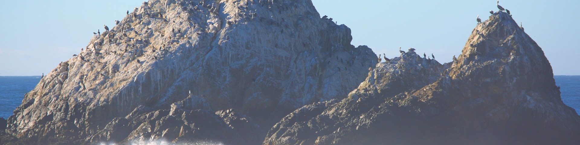 Ocean Beach which includes a sandy beach, rugged coastline and general coastal views