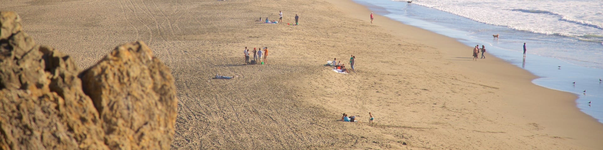 Ocean Beach montrant panoramas et plage de sable aussi bien que important groupe de personnes